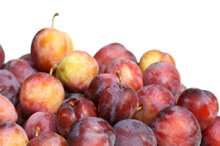 plum.jpg
