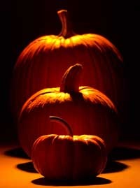 pumpkins.jpg