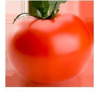 tomato.jpg